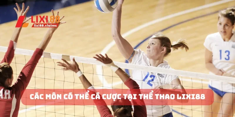 Các môn có thể cá cược tại thể thao Lixi88
