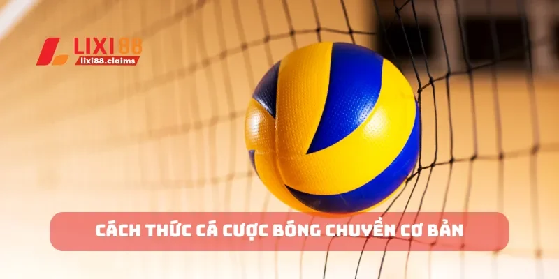 Cách thức cá cược bóng chuyền cơ bản