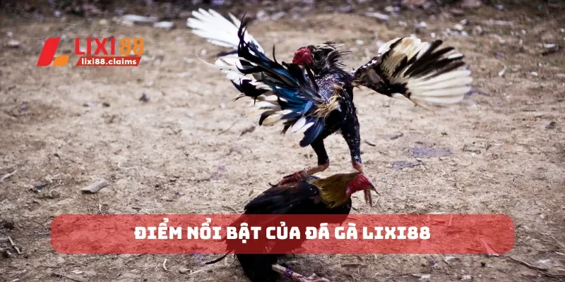 Điểm nổi bật của đá gà Lixi88